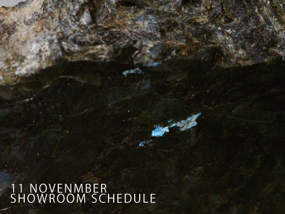 【SHOWROOM】11月営業日のお知らせ